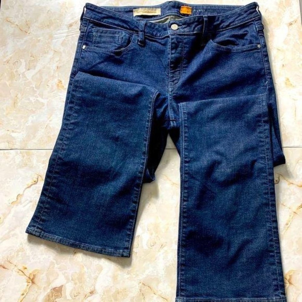Anthropologie Pilcro and the Letter Press Jeans